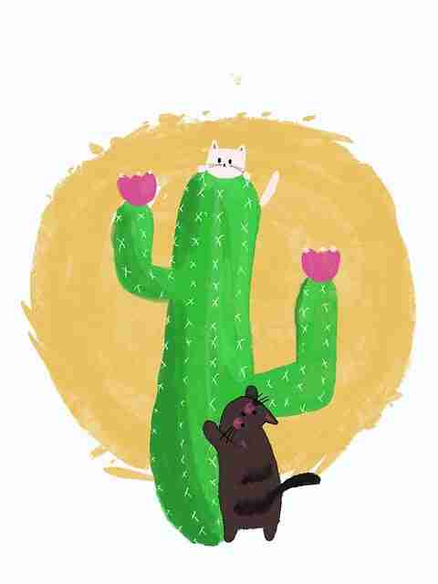 2023年麻豆网社区热议全档案