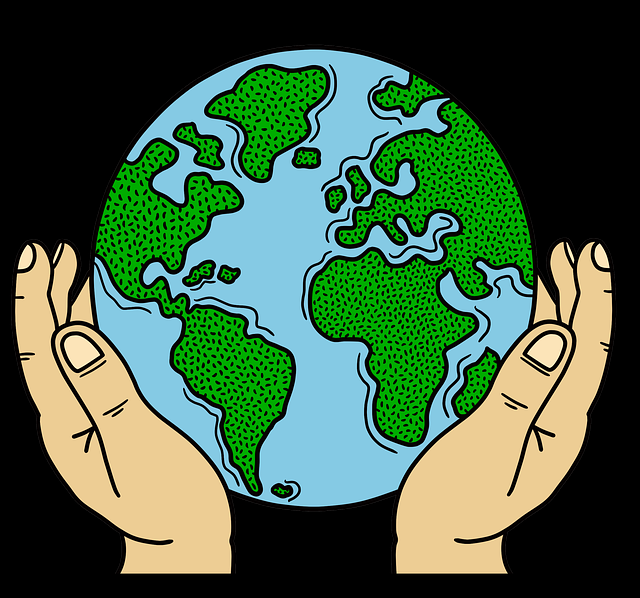 糖心vlog新官方入口上手指南背后的流量逻辑彩蛋合集