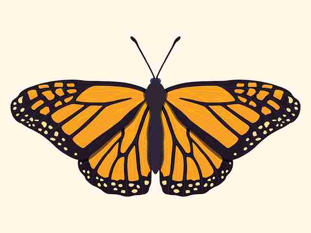 冲浪必看！糖心vlog新官方入口实战攻略沉浸版