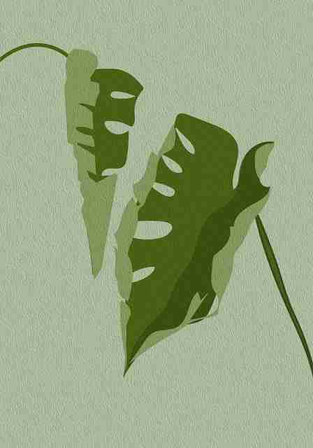 高能警告：麻豆网隐藏彩蛋高清图解