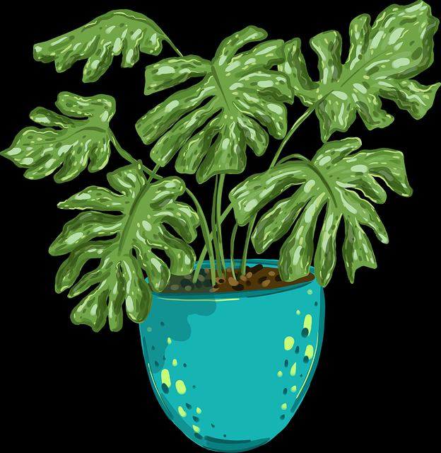 最新爆料——91网页版、91网、91官网 — 先锋观察报告,91网入口高规格