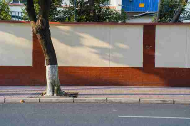 黑料网app清晨粉丝狂欢全记录——历史回顾数据读本