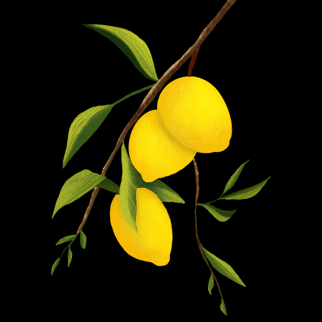 图解版:海角社区app下载上手指南官方回应